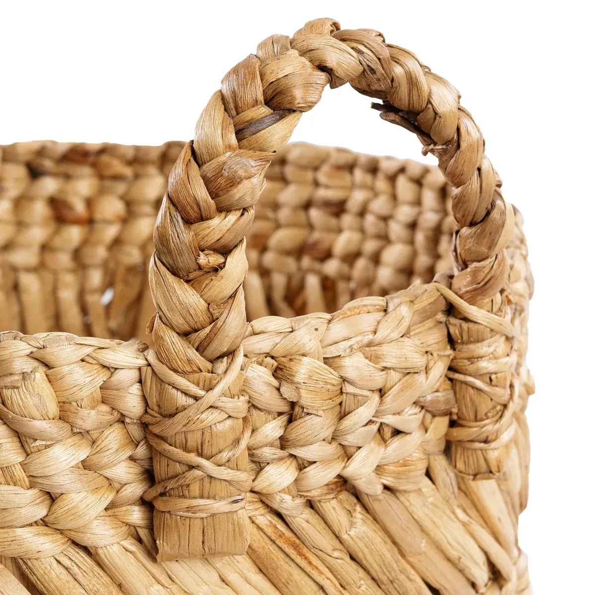 Le Panier de Bananes en Zigzag - M