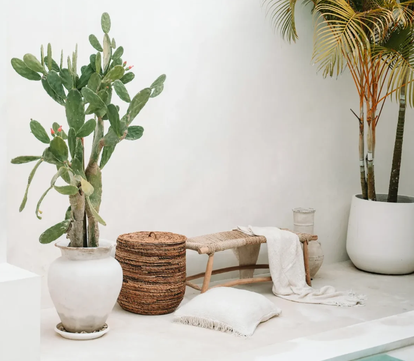 Le Banc Porto Seagrass - Naturel - L